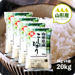 コシヒカリ 米 20kg 魚沼産コシヒカリ お米 20キロ 令和6年産 特 コシヒカリ 米 20kg 魚沼産コシヒカリ お米 20キロ 令和6年産 特