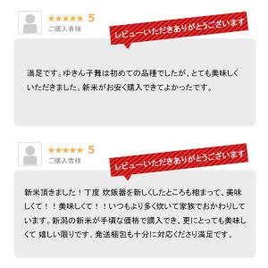 とれたて新米 新潟産 ゆきん子舞 10kg 令...の詳細画像5