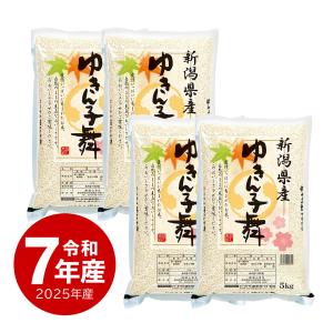 コシヒカリ 米 無洗米 新潟産 お米 20kg 令和7年産 新米 送料無料 沖縄