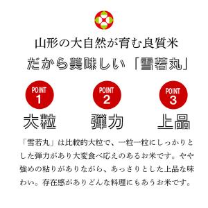 【夏のセール中】 雪若丸 お米 10kg 令和...の詳細画像2