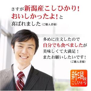 米 ギフト お米 退職 お礼 の品 プレゼント...の詳細画像4