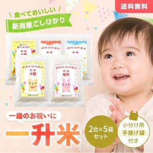 一升米 1歳 お祝い 米 小分け 新潟産コシヒカリ２合５個 真空パック 一生米