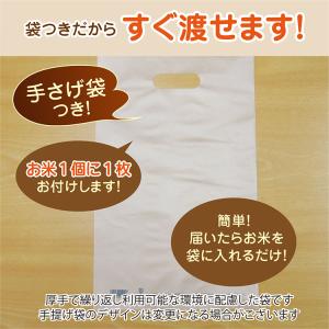 米 法事 志 ギフト 新潟産 コシヒカリ3合 ...の詳細画像5