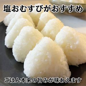 米 令和7年産 新潟県産 にじのきらめき 10...の詳細画像3