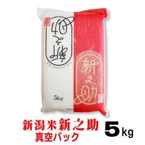 新之助（しんのすけ） 米 5kg 送料無料 白米 新潟県産 令和7年産 一等