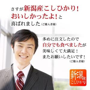 米 ギフト 退職 お礼 チギフト お米 3合パ...の詳細画像3