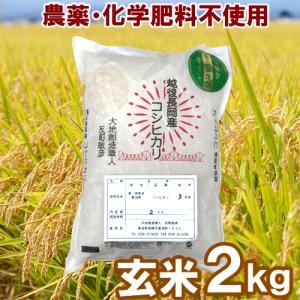 コシヒカリ 令和7年産 無農薬 玄米 無化学肥料 送料無料 玄米 2kg