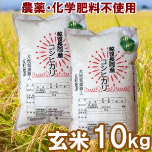 コシヒカリ 【令和7年度米】無農薬・無化学肥料 新潟産コシヒカリ