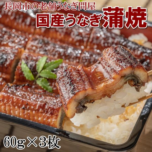 鰻 国産うなぎ 蒲焼 60g３枚 たれ 山椒付き(産地直送)うなふく