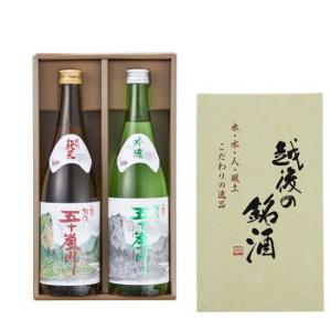 お酒 日本酒 【産地直送】日本酒 越後五十嵐川 ギフトセット 720ml2本 福顔酒造