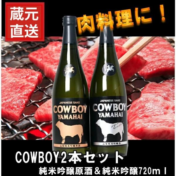 [蔵元直送]日本酒 カウボーイ 原酒＆テンダー 塩川酒造飲み比べ720ml×2