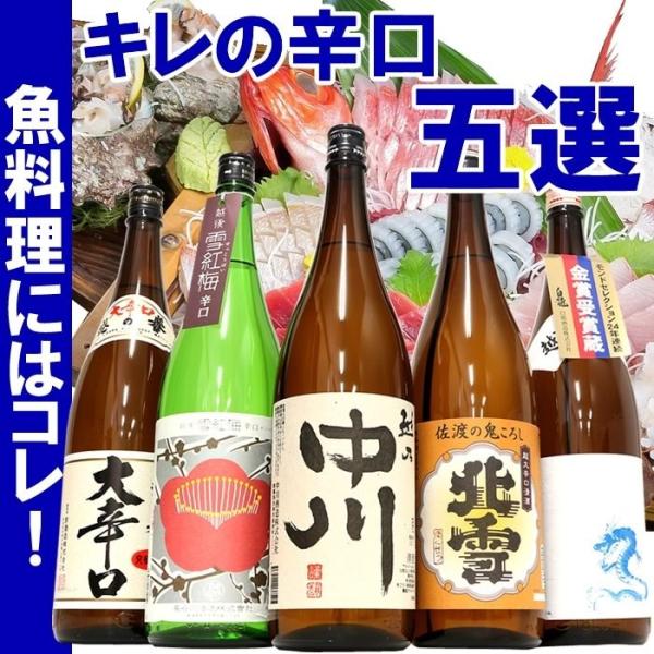 日本酒 キレの辛口 1800ml 5本 飲み比べ セット 越乃中川 北雪鬼ころし 雪紅梅辛口 白龍龍...