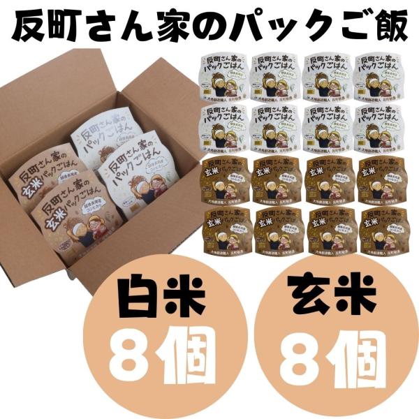 (産地直送)反町さん家のパックごはん 白米 玄米 150g 16個入り 無農薬 玄米 こしひかり 大...