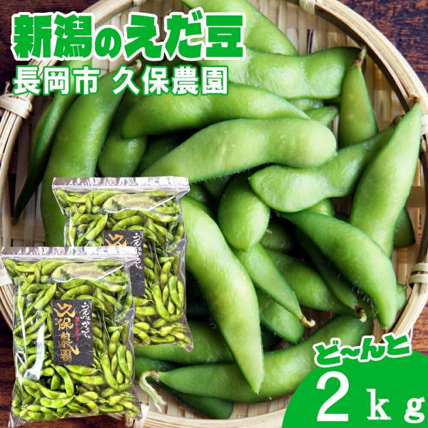 (産地直送)(冷蔵)新潟県長岡市産 枝豆 2kg 久保農園  農家直送 採れたてのえだ豆 ※発送後5...