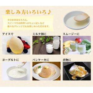 甘酒 あまざけ 越の誉 酒蔵造り あまさけ50...の詳細画像4
