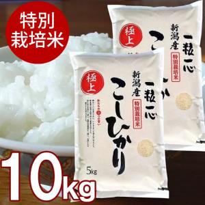 特別栽培米 新潟産 こしひかり 白米 10kg 5kg×2袋 送料無料｜echigo