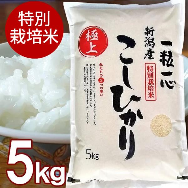 (産地直送)特別栽培米 新潟産 こしひかり 白米 5kg 有限会社グリーン