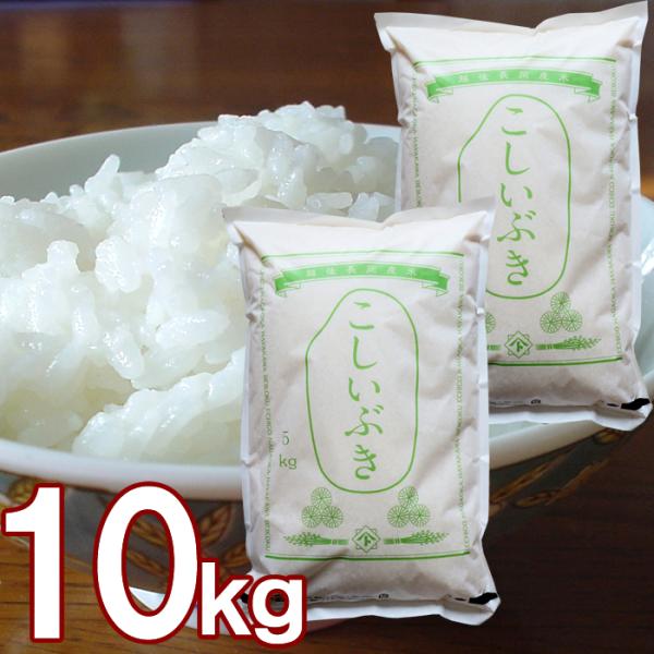 新潟産 こしいぶき 10kg  令和7年 米 新潟 早川米穀店