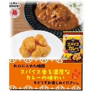 ふんわり名人 スパイスカレー味【期間限定】の詳細画像4
