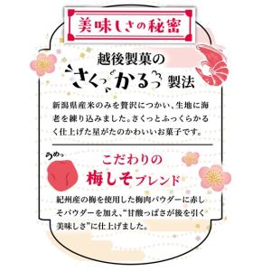 新潟の星 梅味【期間限定】の詳細画像3
