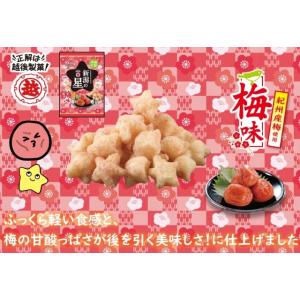 新潟の星 梅味【期間限定】の詳細画像4