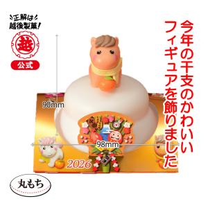 鏡餅 丸餅入招福干支飾り