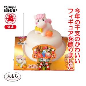 【ねんドル岡田ひとみお姉さんフィギュア監修】鏡餅 丸餅入招福干支飾り（白ウマ）｜越後製菓オンラインショップ