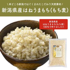 新潟県産はねうまもち(もち麦) 500gの詳細画像1