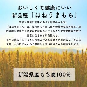新潟県産はねうまもち(もち麦) 500gの詳細画像2