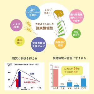 新潟県産はねうまもち(もち麦) 500gの詳細画像3