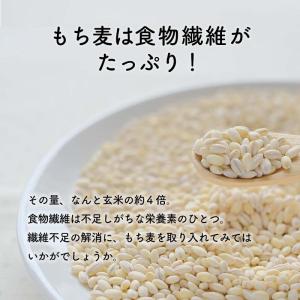 新潟県産はねうまもち(もち麦) 500gの詳細画像4