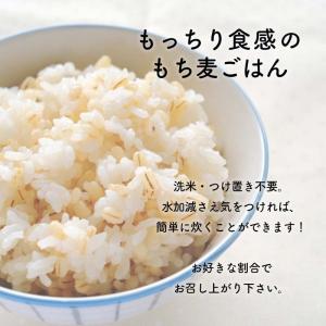 新潟県産はねうまもち(もち麦) 500gの詳細画像5