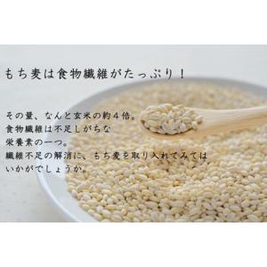 新潟県産はねうまもち(もち麦) 500g×6袋...の詳細画像4
