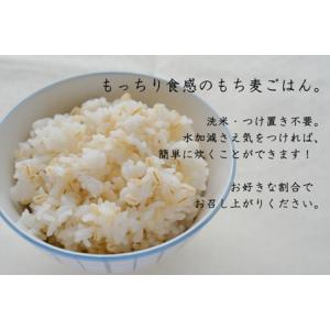 新潟県産はねうまもち(もち麦) 500g×6袋...の詳細画像5