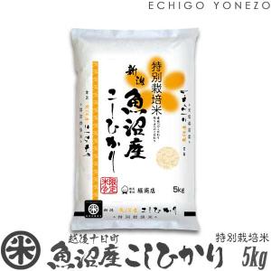 ７年産新潟県産コシヒカリ20kg玄米② コシヒカリ 新潟米 令和7年産 玄米 新潟産コシヒカリ 20kg (5kg×4袋