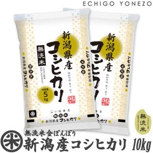 新潟県産 コシヒカリ 農家直送 10kg 玄米 訳あり 数量限定 減農薬 減肥料 米 玄米 10kg 令和6年 新潟産 つきあかり 5kg×2袋 お米 10キロ