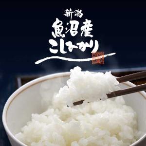 新米 令和7年産 南魚沼塩沢産コシヒカリ 魚沼...の詳細画像1