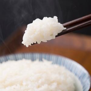 新米 令和7年産 南魚沼塩沢産コシヒカリ 魚沼...の詳細画像4