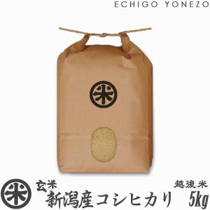 新潟米 令和5年産 玄米 新潟産コシヒカリ 5kg (5kg×1袋) 新潟米 お米 新潟県産 こしひかり 堀商店 送料無料 ギフト対応｜echigoyonezo