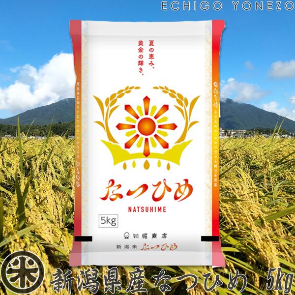 【新米 令和8年産】新潟産 なつひめ 5kg〜20kg 新潟産地精米 五ツ星お米マイスター 厳選