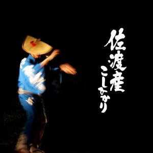 新潟米 令和7年産 無洗米 佐渡産コシヒカリ ...の詳細画像2