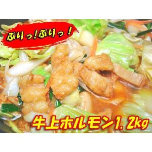 専門店秘伝の味 肉の日限定 激旨 牛味噌上ホル...の詳細画像1