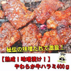 熟成みそ漬けやわらか牛上ハラミ　400g　焼肉　ホルモン　B級グルメ｜echizennohorumonya