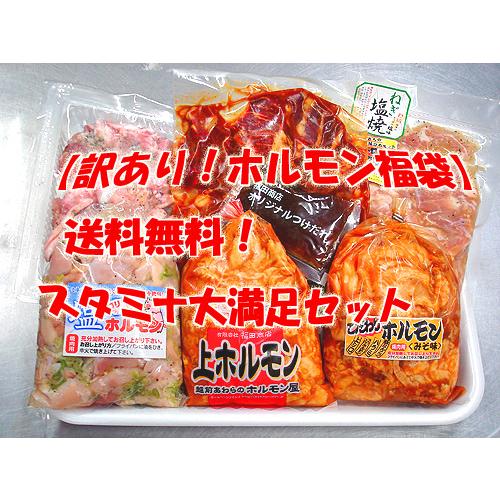 ホルモン福袋 送料無料 訳ありスタミナ大満足セット お歳暮 父の日 BBQ バーベキュー 焼肉 ホル...