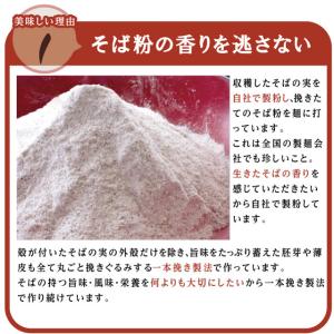 残暑見舞 お中元 「半生そば6食」お土産 越前...の詳細画像1