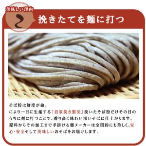 残暑見舞 お中元 「半生そば6食」お土産 越前...の詳細画像2