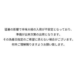「辛味大根1本」 越前そばと相性ぴったり!おろ...の詳細画像3