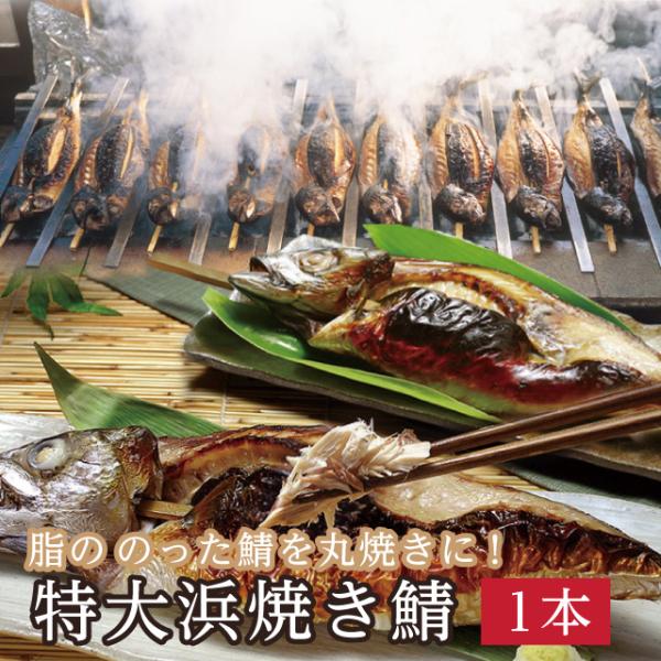 浜焼き 福井名物 特大「特大 浜焼き鯖」レンジ 温めるだけ 簡単 ソウルフード 丸焼き