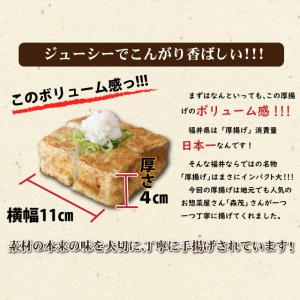 3月限定「厚揚げおろしそば」カリカリに焼いた厚...の詳細画像2