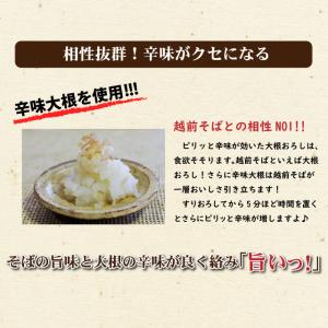 3月限定「厚揚げおろしそば」カリカリに焼いた厚...の詳細画像3